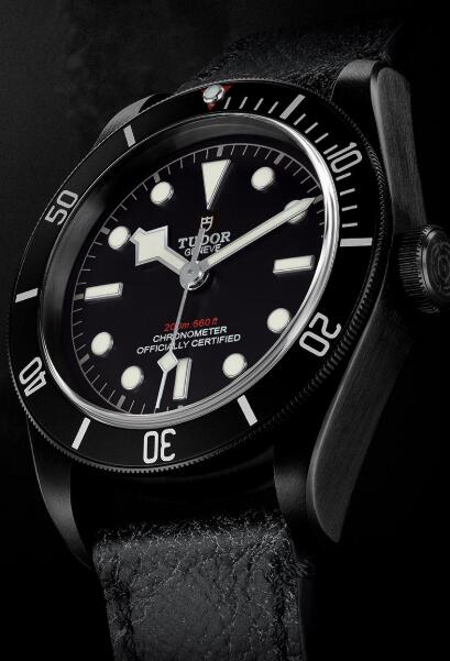 Tudor BLACK BAY DARK M79230DK-0007 Replica Watch